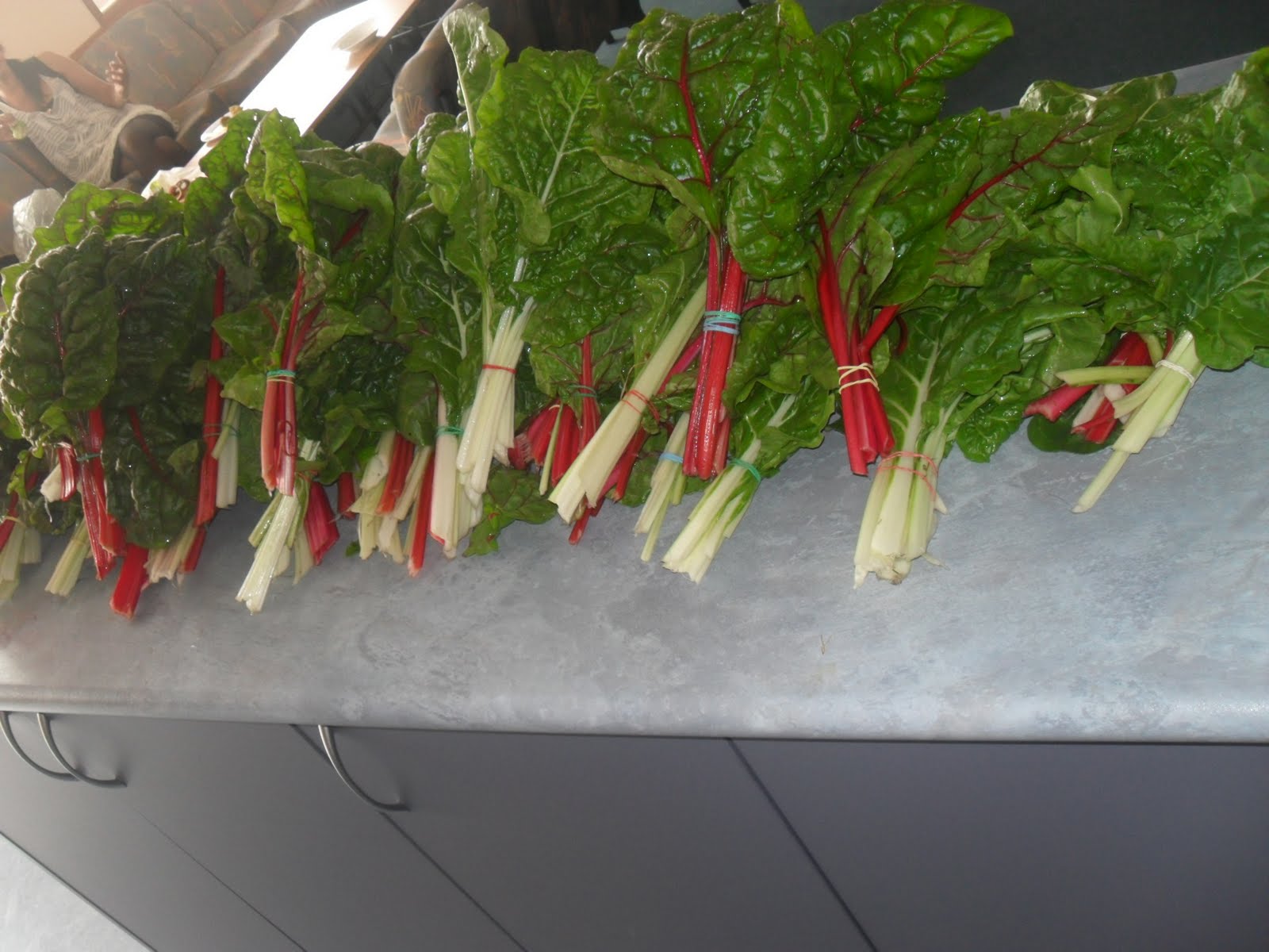 Bailey Road Team 17 2010