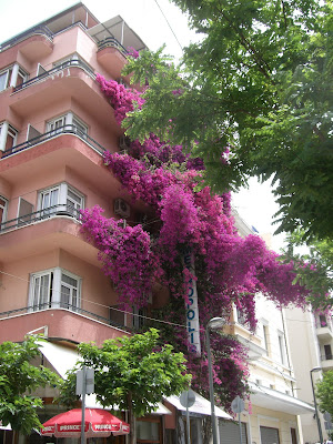 CIMG8209 - Underbar dag på stan i Aten igår