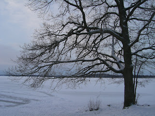 CIMG6691 - Ljus, vacker och kall morgonpromenad