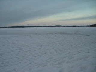CIMG6687 - Ljus, vacker och kall morgonpromenad