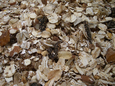 CIMG6871 - Min müsli - så här gör jag den