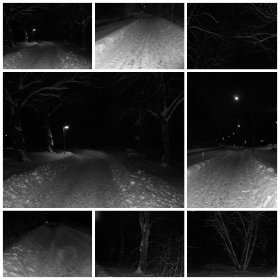 [svart+vita+bilder+morgonpromenad.jpg]