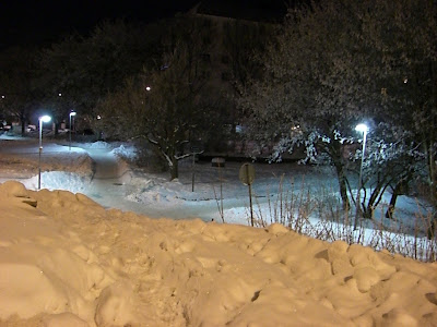 CIMG7268 - Om min härliga morgon