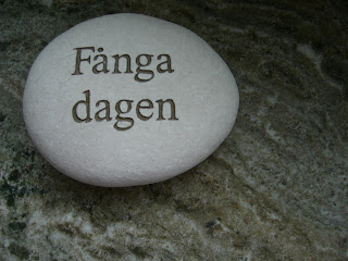 CIMG7731 - Fånga Dagen - Beach 2010 tips nr 6