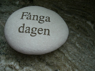 CIMG7730 - Fånga Dagen - Beach 2010 tips nr 6