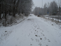 DSC01669 - Typiskt aprilväder för nu har vi snö igen