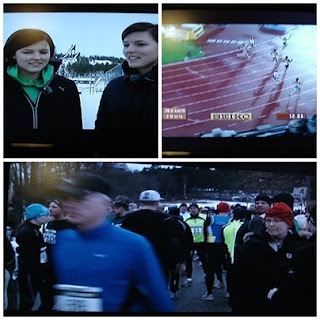 Sverige+springer - Min recension av Sverige Springer från igår