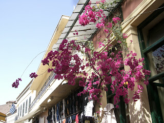 CIMG8127 - Atenresan blev en hälsoresa för både kropp och själ - Här kommer guldkornen från vistelsen i Aten