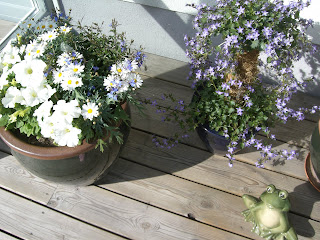 Blommor+p%C3%A5+altanen - Underbara eftermiddagstimmar i solen