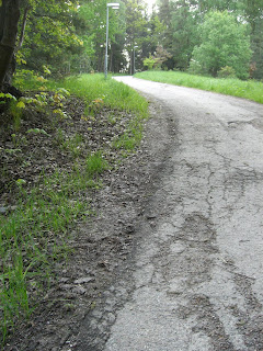 CIMG8377 - Promenad och löpning med 1022 trappsteg