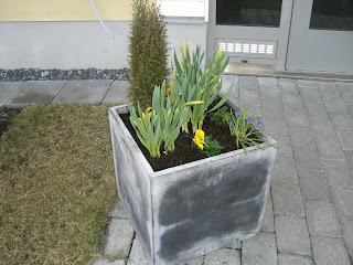 CIMG2805 - Nyttiga tips inför påsken