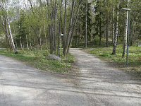 CIMG2912 - Vårtecken på vår morgonpromenad