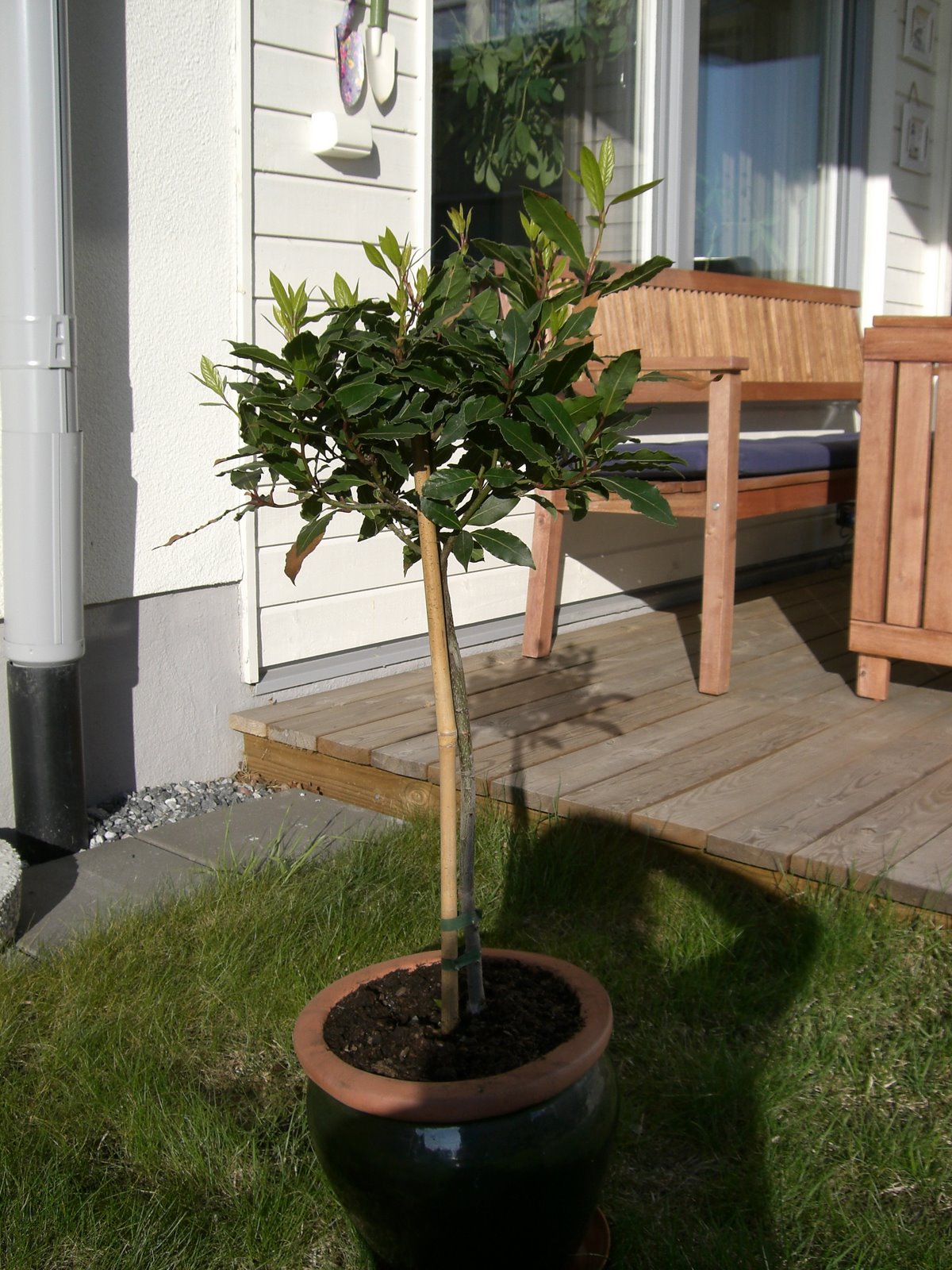 [mixture+picture+March2009+265.jpg]