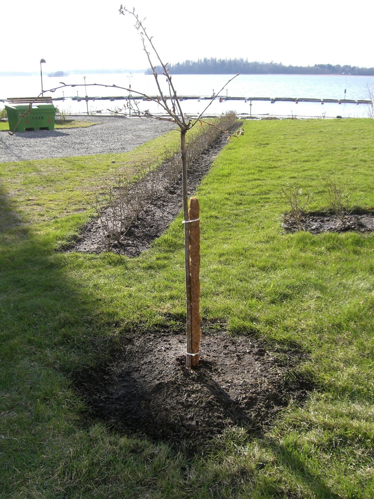 [mixture+picture+March2009+268.jpg]