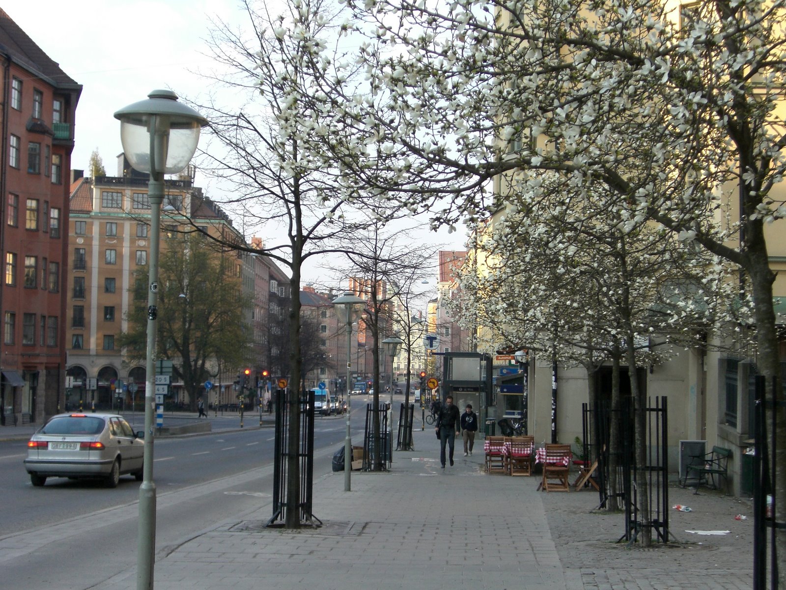 [mixture+picture+March2009+278.jpg]