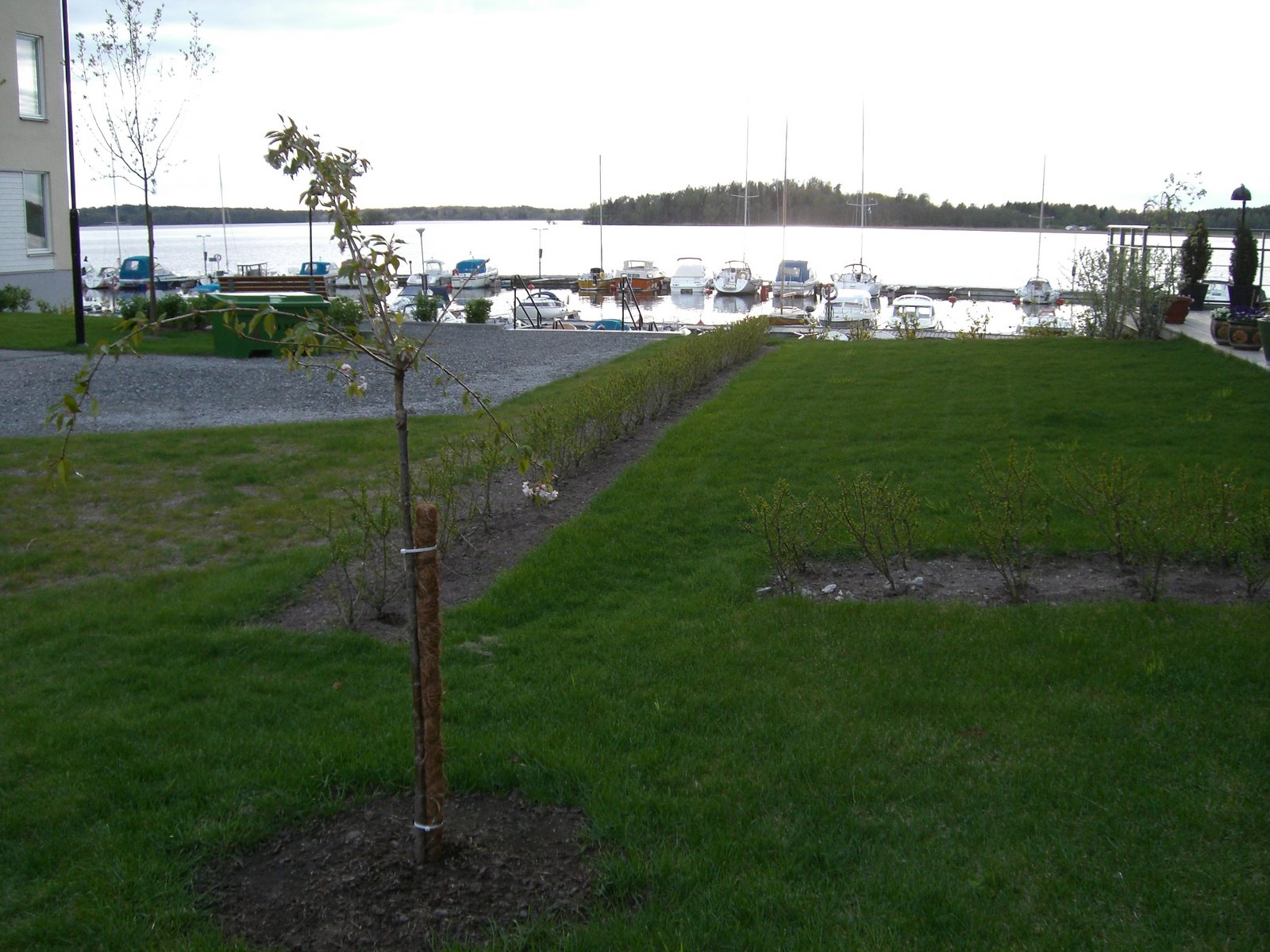 [mixture+picture+March2009+309.jpg]