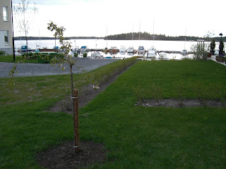 mixture+picture+March2009+309 - Frisk luft och våren ger mig energi