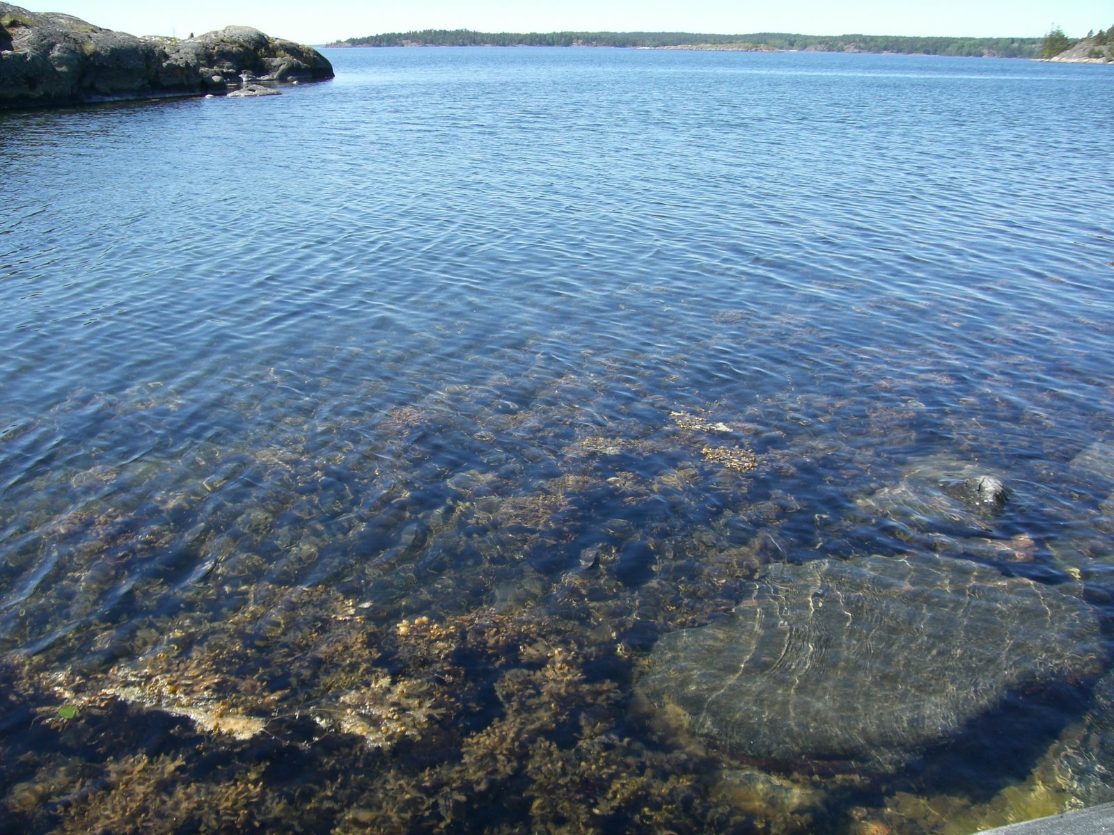 [lindas+land+008.jpg]