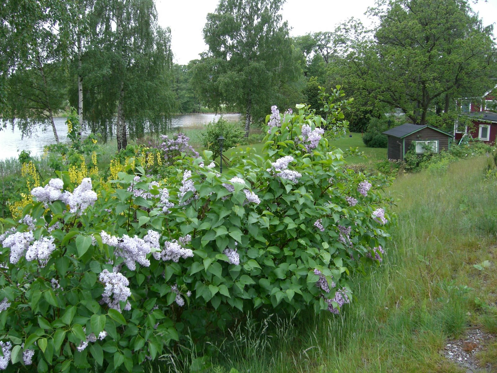 [5+juni+power+walk+002.jpg]