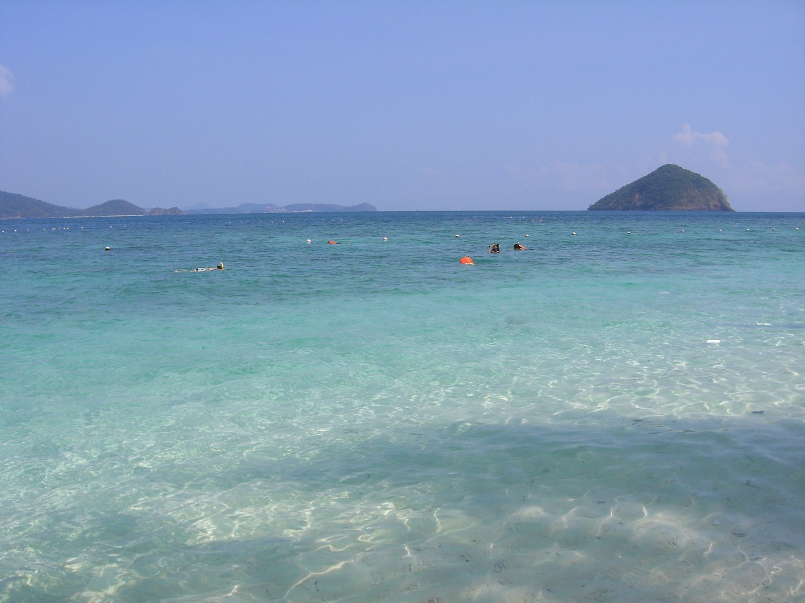 [mixture+picture+March2009+004.jpg]