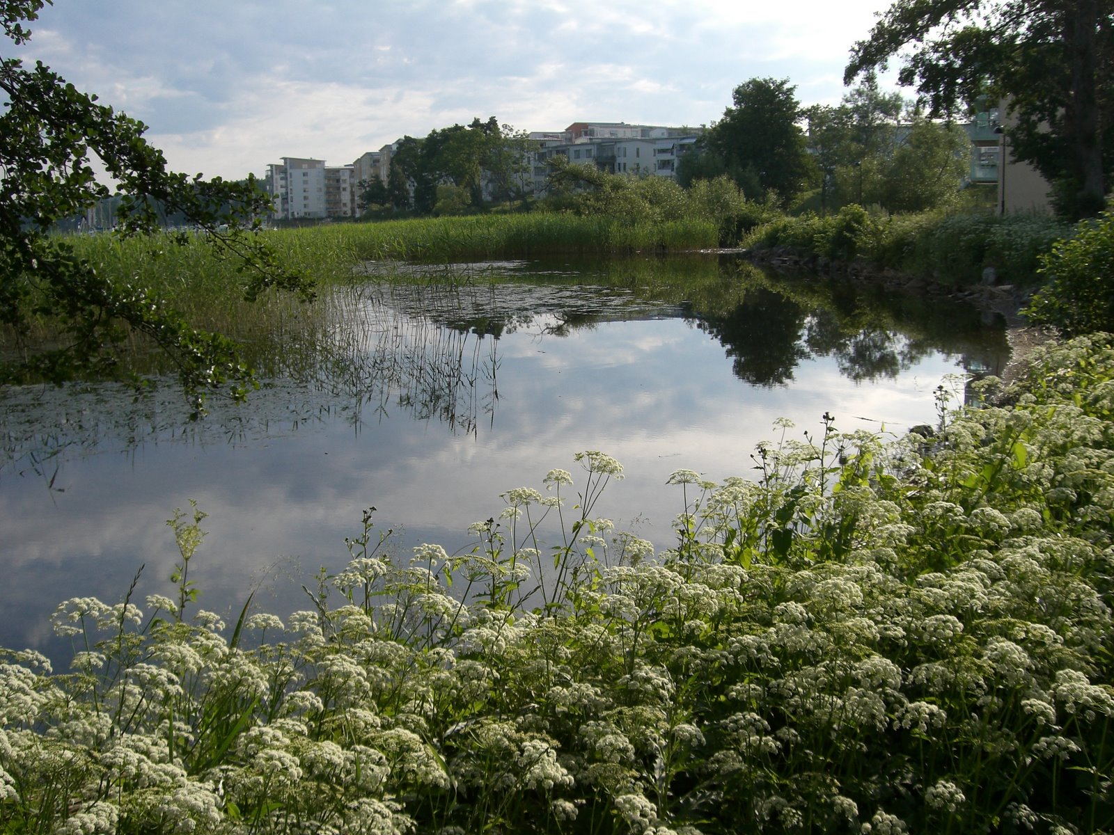 [mprom+3+juli+018.jpg]