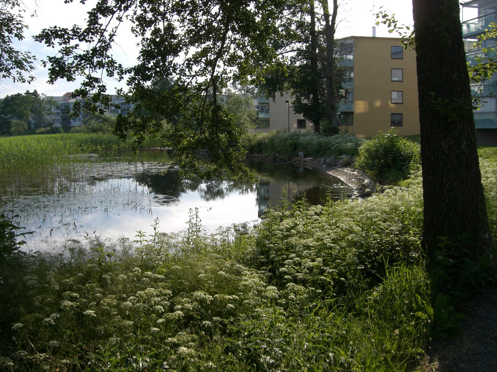 [mprom+3+juli+017.jpg]