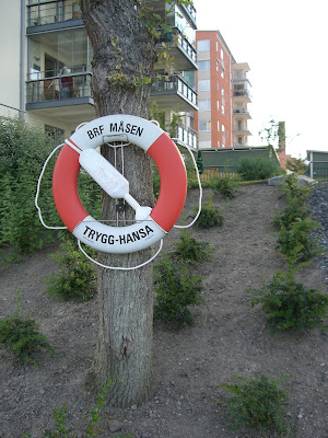 mprom+3+juli+029 - Mina morgonpromenader ger mig energikickar