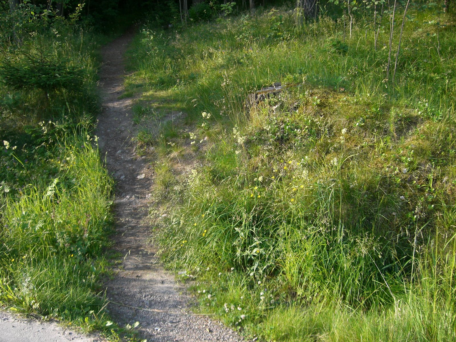 [mprom+3+juli+007.jpg]