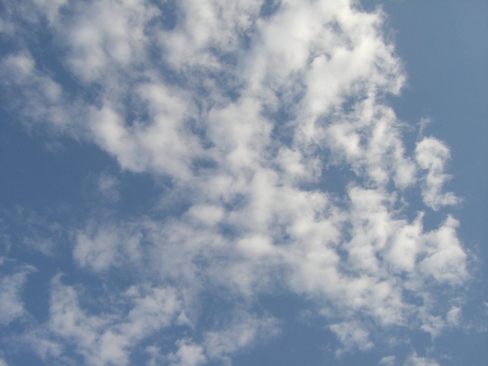 [himmel+och+rotfrukter+i+ugn+006.jpg]