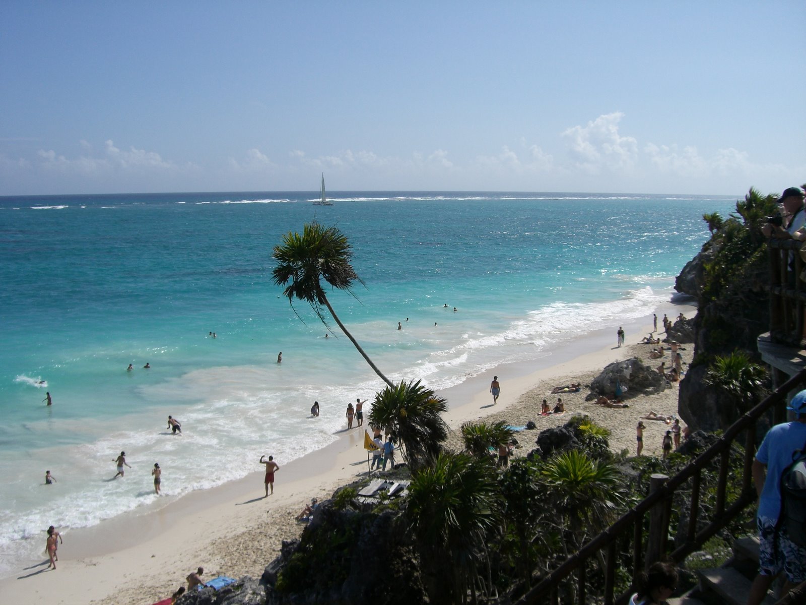 [mixture+picture+March2009+108.jpg]