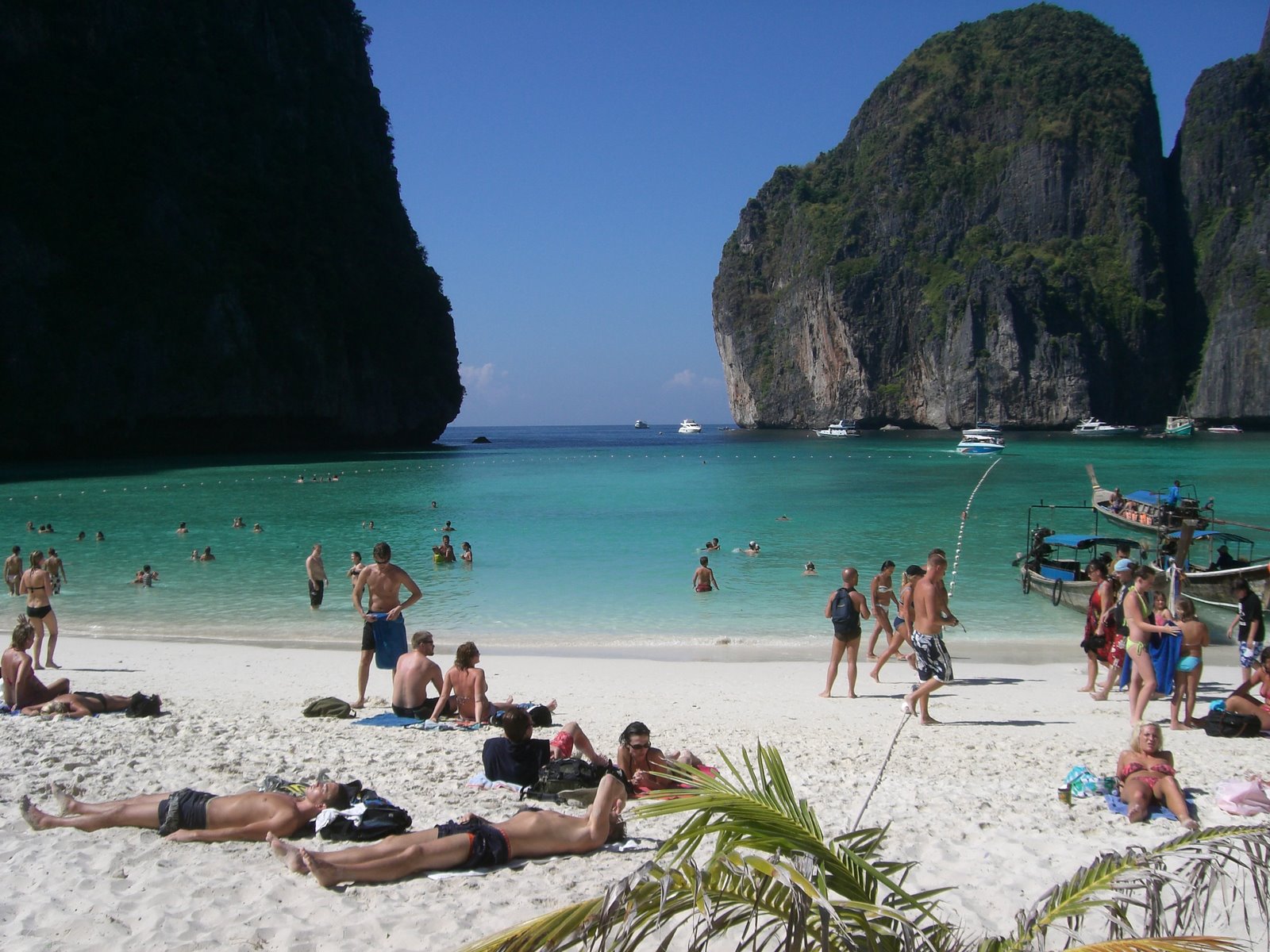 [mixture+picture+March2009+002.jpg]