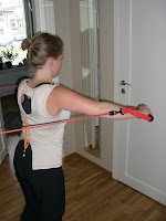 styrka+hemma+001 - Semestertips för träning