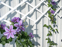 fj%C3%A4derholmarna+003 - En mysig kväll på Fjäderholmarna