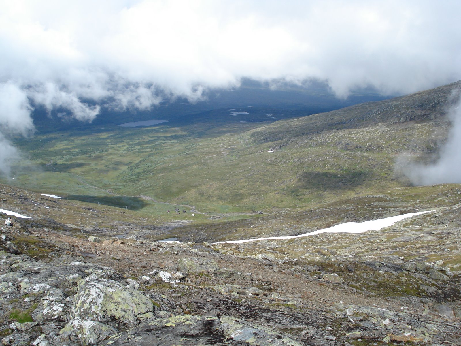 [mixture+picture+March2009+131.jpg]