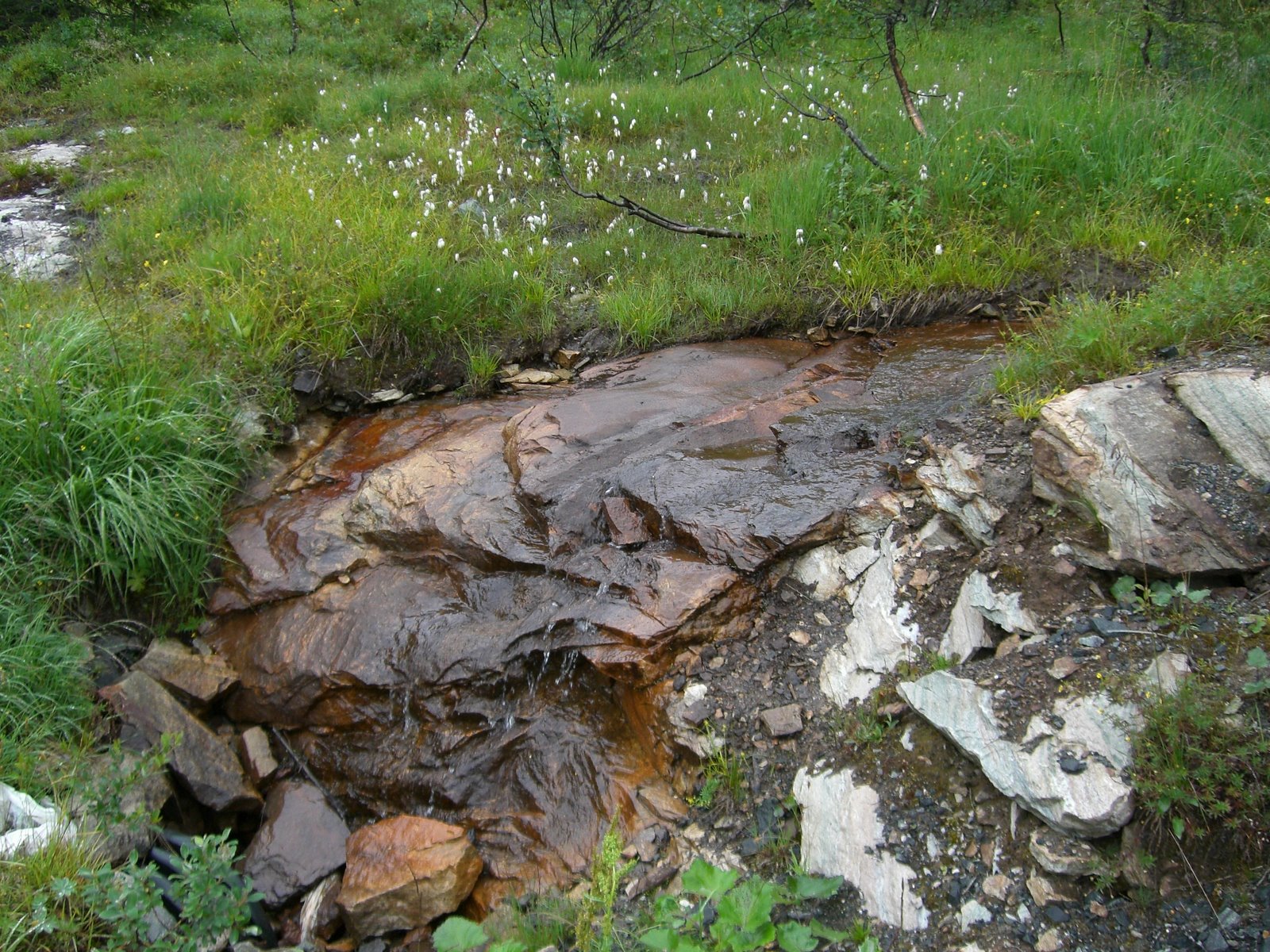 [morgonpromenad+åre+004.jpg]