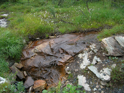 morgonpromenad+%C3%A5re+004 - Morgonpromenad i ett regnigt Åre