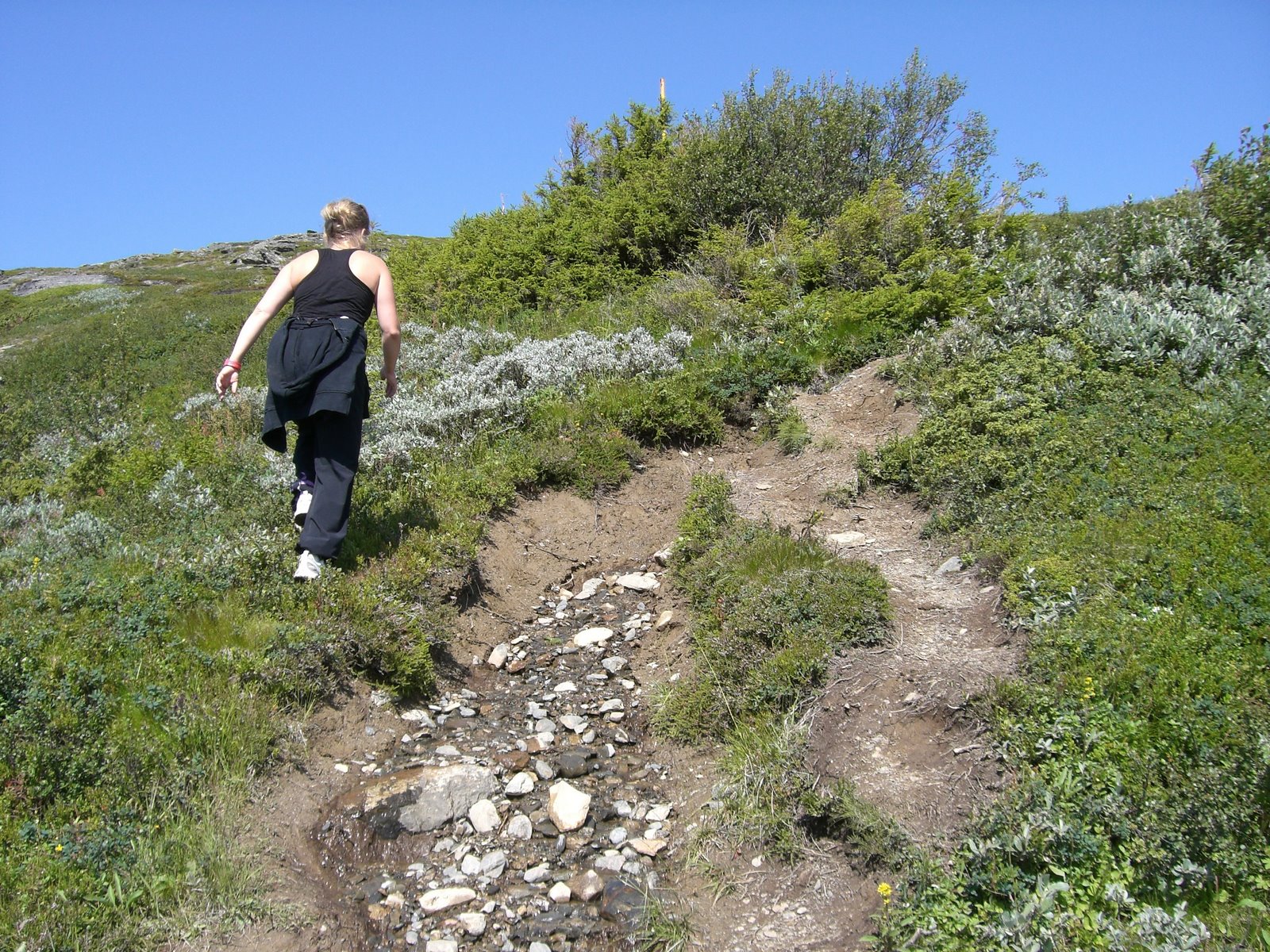 [åreskutans+topp+bestigning+040.jpg]