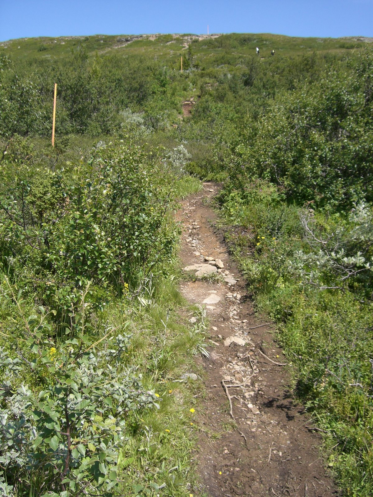 [åreskutans+topp+bestigning+026.jpg]