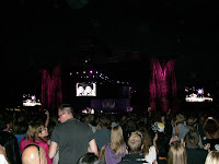 madonnakonsert+010 - Nu har jag sett Madonna