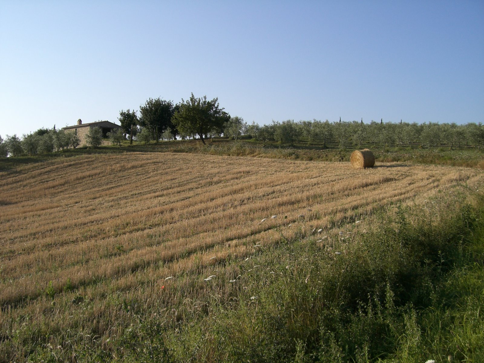 [italien+toscana+367.jpg]