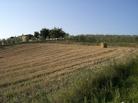 italien+toscana+367 - Morgonpromenad i Pienza
