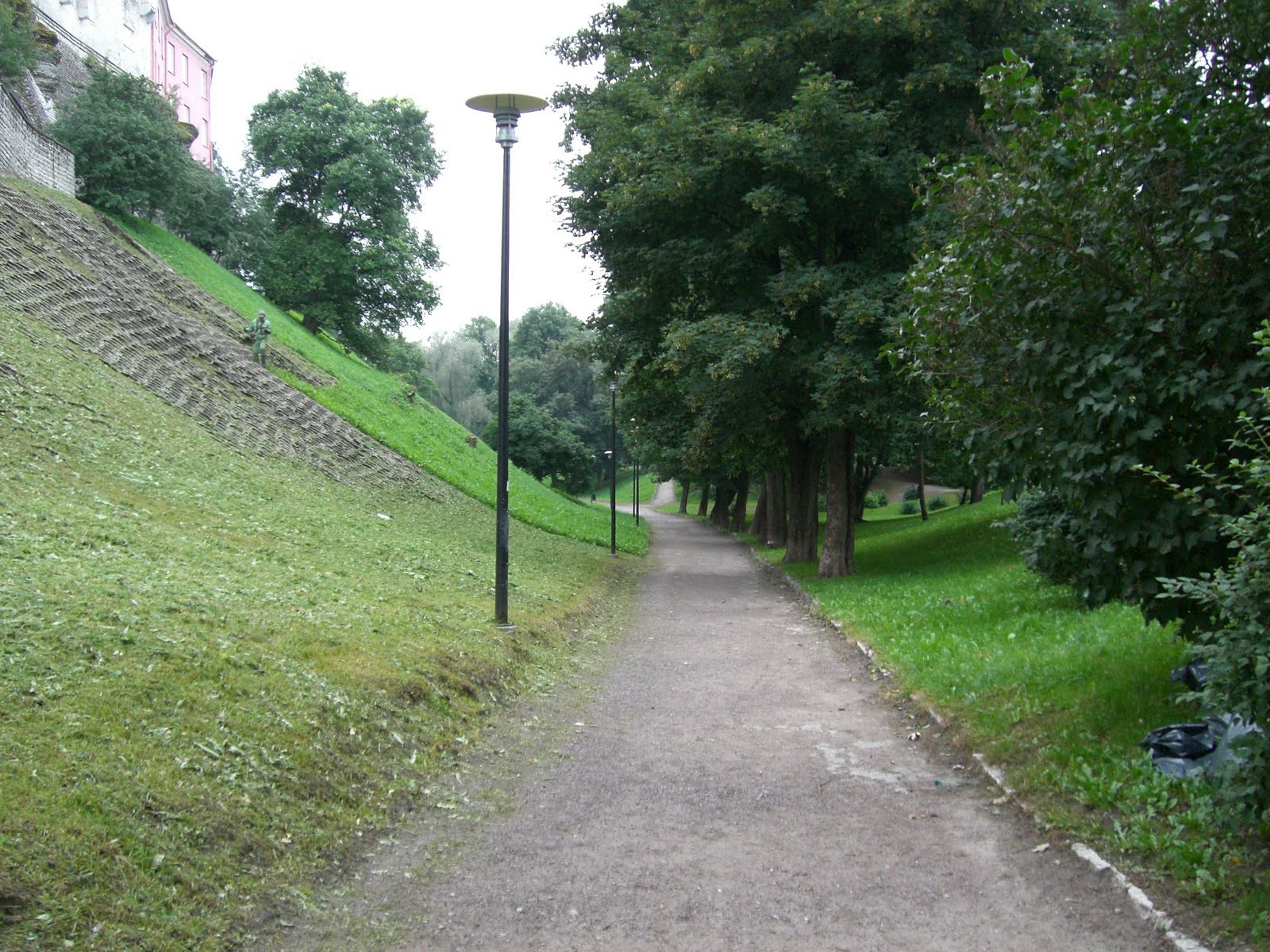 [CIMG4575.JPG]