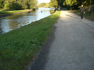 CIMG4804 - Underbar löparmorgon