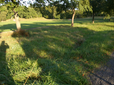 CIMG4803 - Underbar löparmorgon