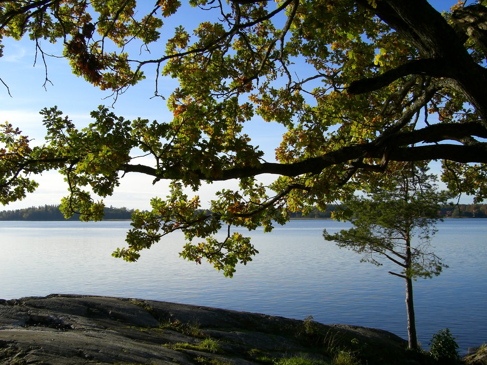 [mixture+picture+March2009+079.jpg]