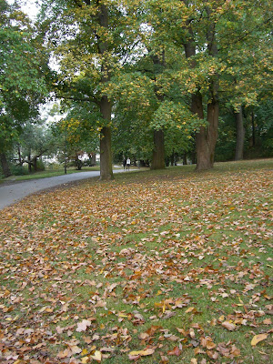 CIMG4992 - Härlig höstmorgon