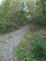 CIMG5005 - Höstpromenad i Kallhäll