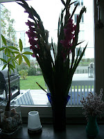 CIMG5041 - Lugn start på morgonen