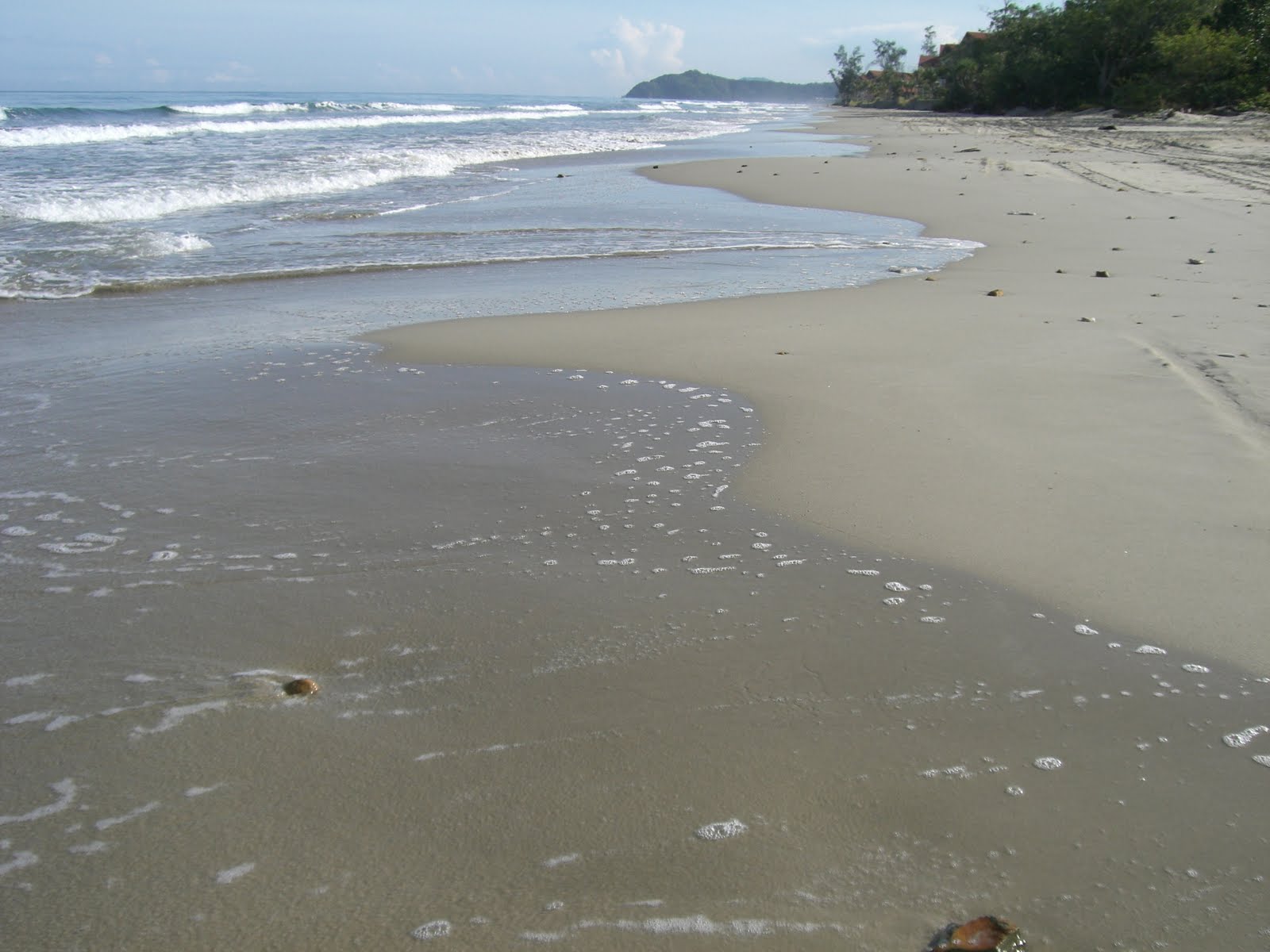 [Karin+nexus+2+005.jpg]