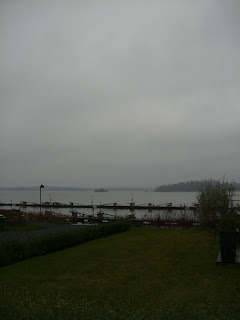 CIMG5896 - Mulet och trött